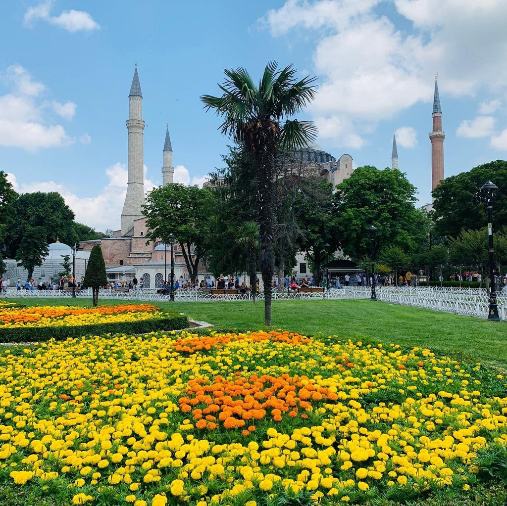 Our Trip to Istanbul-Turkey (June 2019)-everlur